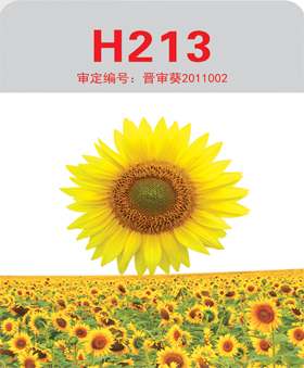 H213号向日葵种子