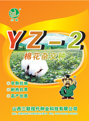 棉花杂交种-YZ-2