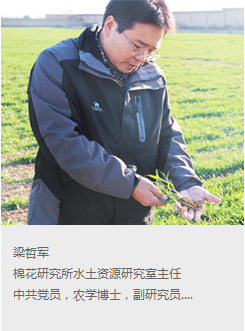 梁哲军.jpg